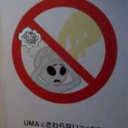 ヒメ日記 2026/01/13 12:08 投稿 Hisui LovingTouch（ラビングタッチ）