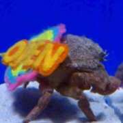 ヒメ日記 2026/01/24 12:18 投稿 Hisui LovingTouch（ラビングタッチ）