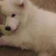 ヒメ日記 2026/02/10 12:18 投稿 Hisui LovingTouch（ラビングタッチ）