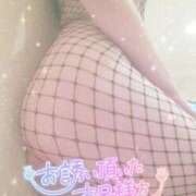 ヒメ日記 2026/01/28 20:08 投稿 由紀恵(ゆきえ) PLUS十三店