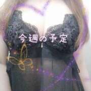ヒメ日記 2026/03/23 08:08 投稿 由紀恵(ゆきえ) PLUS十三店