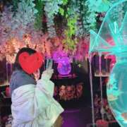 ヒメ日記 2025/07/05 12:45 投稿 にこ 君とふわふわプリンセスin川越