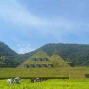 ヒメ日記 2025/09/07 17:17 投稿 いおり 俺のヤバい妻。(谷九)