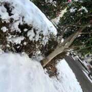 ヒメ日記 2026/02/09 12:54 投稿 ゆうな先生 Porn HAREM 熊谷店