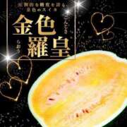 ヒメ日記 2025/07/27 13:26 投稿 安西ゆうり 月の真珠-五反田-