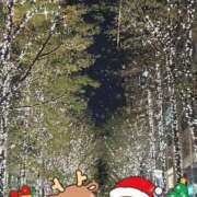 ヒメ日記 2025/12/09 12:57 投稿 安西ゆうり 月の真珠-五反田-