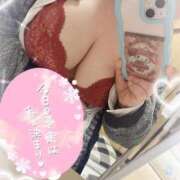 ヒメ日記 2026/04/09 12:49 投稿 りりか 横浜・関内サンキュー