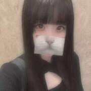 せいな せいな（エコ日本橋店） スピードエコ日本橋店