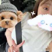 ヒメ日記 2025/08/23 23:50 投稿 あずさ バカンス学園　谷九校