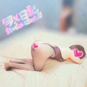 ヒメ日記 2025/07/08 15:19 投稿 斎藤かずみ セレブ Rex