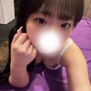 ヒメ日記 2025/08/15 14:27 投稿 フウ 姫路ラビット