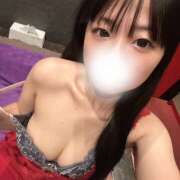 ヒメ日記 2025/08/17 15:07 投稿 フウ 姫路ラビット