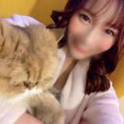 ヒメ日記 2025/07/21 10:51 投稿 らむ奥様【VIP】 金沢の20代30代40代50代が集う人妻倶楽部