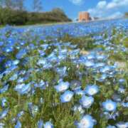 ヒメ日記 2025/07/04 07:41 投稿 奥≫梨恋ほむら 不倫商事多治見営業所
