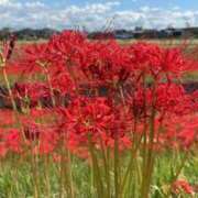 ヒメ日記 2025/10/01 23:14 投稿 奥≫梨恋ほむら 不倫商事多治見営業所