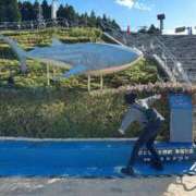 ヒメ日記 2025/11/06 09:45 投稿 奥≫梨恋ほむら 不倫商事多治見営業所