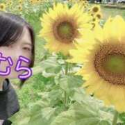 ヒメ日記 2026/01/05 12:47 投稿 奥≫梨恋ほむら 不倫商事多治見営業所