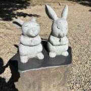 ヒメ日記 2026/03/01 11:01 投稿 奥≫梨恋ほむら 不倫商事多治見営業所