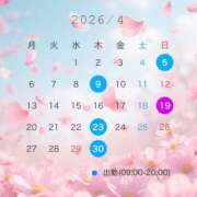 ヒメ日記 2026/04/05 15:01 投稿 奥≫梨恋ほむら 不倫商事 多治見本店