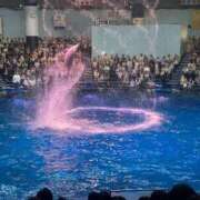 ヒメ日記 2025/07/27 18:53 投稿 モモ MEGA PALACE(メガパレス）