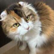 ヒメ日記 2025/11/02 15:56 投稿 モモ MEGA PALACE(メガパレス）