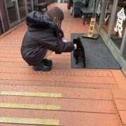 ヒメ日記 2026/02/27 17:23 投稿 モモ MEGA PALACE(メガパレス）