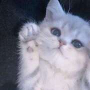 ヒメ日記 2025/08/03 01:35 投稿 夢芙（ゆう） NOA（ノア）