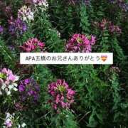 ヒメ日記 2025/10/04 03:04 投稿 夢芙（ゆう） NOA（ノア）