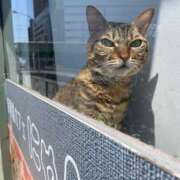 ヒメ日記 2025/08/03 15:00 投稿 瑞希【ミズキ】 輝女