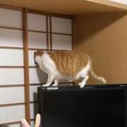 ヒメ日記 2025/08/06 12:00 投稿 瑞希【ミズキ】 輝女