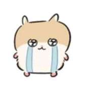 ヒメ日記 2026/01/27 13:59 投稿 ホタル【ミスヘブン入賞の天使♪】 CLUB CHELSEA(クラブ チェルシー)富山