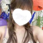 ヒメ日記 2025/07/21 10:17 投稿 セリマ♡業界未経験美バニー降臨♡ ドMなバニーちゃん 名古屋・池下店