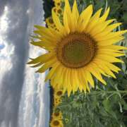 ヒメ日記 2025/08/25 09:57 投稿 せり 新橋フェアリーズ