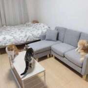 ヒメ日記 2025/07/23 16:07 投稿 歩川（あゆかわ） 丸妻 錦糸町店