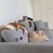 ヒメ日記 2025/07/25 09:34 投稿 歩川（あゆかわ） 丸妻 錦糸町店