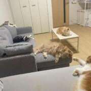 ヒメ日記 2025/08/01 13:56 投稿 歩川（あゆかわ） 丸妻 錦糸町店