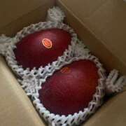 ヒメ日記 2025/08/03 13:05 投稿 歩川（あゆかわ） 丸妻 錦糸町店