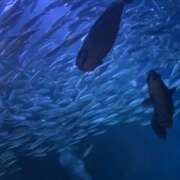 ヒメ日記 2025/10/15 19:08 投稿 歩川（あゆかわ） 丸妻 錦糸町店