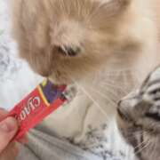 ヒメ日記 2025/11/05 17:35 投稿 歩川（あゆかわ） 丸妻 錦糸町店