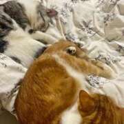 ヒメ日記 2025/11/07 14:34 投稿 歩川（あゆかわ） 丸妻 錦糸町店