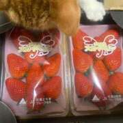 ヒメ日記 2026/01/28 13:04 投稿 歩川（あゆかわ） 丸妻 錦糸町店