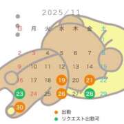 ヒメ日記 2025/11/14 20:03 投稿 あきは 激安ドットコム