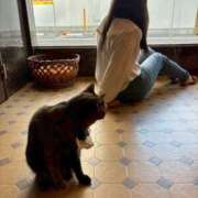 ヒメ日記 2025/10/16 12:10 投稿 こと 手こき＆オナクラ 大阪はまちゃん