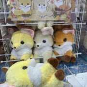 ヒメ日記 2025/11/01 18:50 投稿 こと 手こき＆オナクラ 大阪はまちゃん