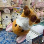 ヒメ日記 2025/11/05 21:40 投稿 こと 手こき＆オナクラ 大阪はまちゃん