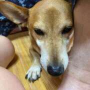 ヒメ日記 2025/10/20 22:00 投稿 小熊みあ Finemotion