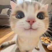 ヒメ日記 2025/09/04 09:28 投稿 れいか One More奥様　横浜関内店