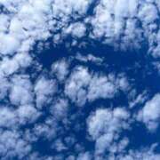 ヒメ日記 2026/01/08 10:13 投稿 れいか One More奥様　横浜関内店