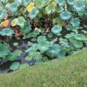 ヒメ日記 2025/10/05 17:26 投稿 ★1番大好きな人★ Cinderella Collection(シンデレラコレクション)