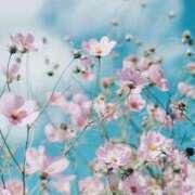 ★1番大好きな人★ 🎍年末が近づいてきましたね🎍 Cinderella Collection(シンデレラコレクション)